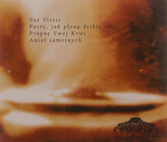 December's Fire: Vae Victis [CD]