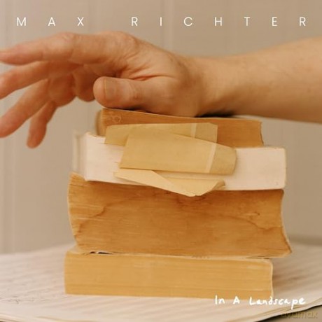 Max Richter: In A Landscape [Winyl]