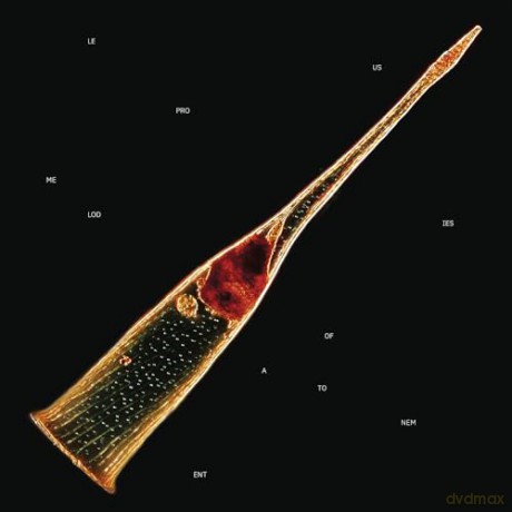 Leprous: Melodies Of Atonement [2xWinyl]