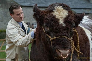 All Creatures Great and Small Season 1 (Wszystkie stworzenia duże i małe) [2xBlu-Ray]