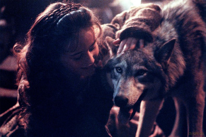 The Company of Wolves (Towarzystwo wilków) (mediabook)  [Blu-Ray 4K]+ [Blu-Ray]