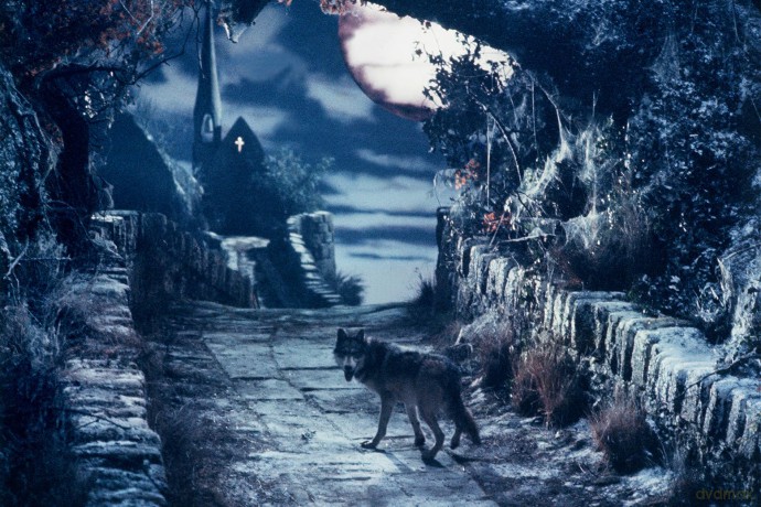 The Company of Wolves (Towarzystwo wilków) (mediabook)  [Blu-Ray 4K]+ [Blu-Ray]
