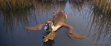 Duck Duck Goose (Kaczki z gęsiej paczki) [Blu-Ray]