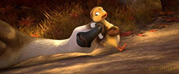 Duck Duck Goose (Kaczki z gęsiej paczki) [Blu-Ray]