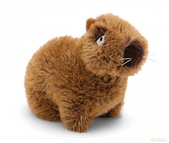 NICI Przytulanka Kapibara Kapi-Barbara 17cm