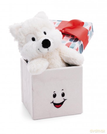 Gift box Dreamy Winter plush 11x11x11cm GREEN
