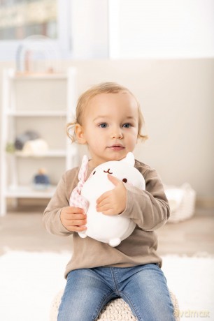 Soft toy MOLANG with comforter 20cm