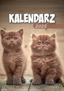 Kalendarz 2025 A6 Zdzierak MIX [KALENDARZ]