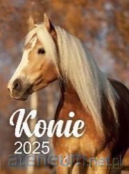 Kalendarz 2025 wieloplanszowy B4 Konie [KALENDARZ]
