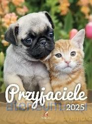 Kalendarz 2025 wieloplanszowy B4 Przyjaciele [KALENDARZ]