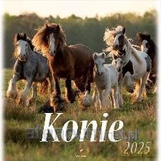Kalendarz 2025 wieloplanszowy Konie [KALENDARZ]
