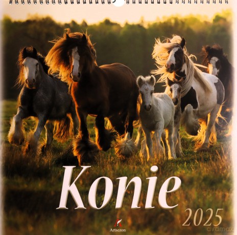 Kalendarz 2025 wieloplanszowy Konie [KALENDARZ]