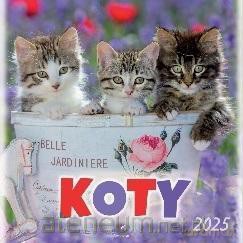 Kalendarz 2025 wieloplanszowy Koty [KALENDARZ]