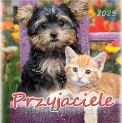 Kalendarz 2025 wieloplanszowy Przyjaciele [KALENDARZ]