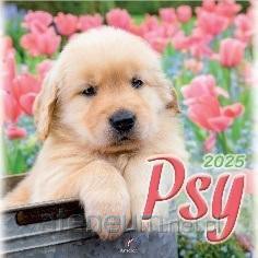 Kalendarz 2025 wieloplanszowy Psy [KALENDARZ]