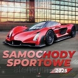 Kalendarz 2025 wieloplanszowy Samochody sportowe [KALENDARZ]