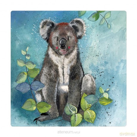 Magnes FM209 Koala