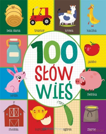 100 słów. Wieś [KSIĄŻKA]