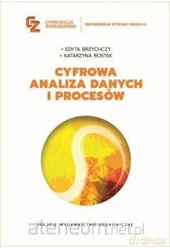 Cyfrowa analiza danych i procesów - Edyta Brzychczy, Katarzyna Rostek [KSIĄŻKA]