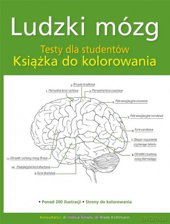 Ludzki mózg. Testy dla studentów [KSIĄŻKA]
