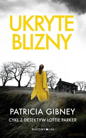 Ukryte blizny - Patricia Gibney [KSIĄŻKA]