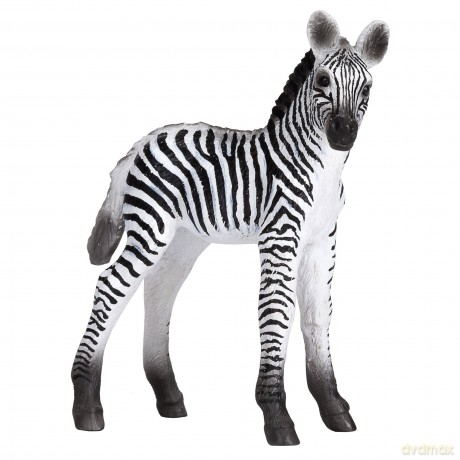 Zebra źrebię [FIGURKA]