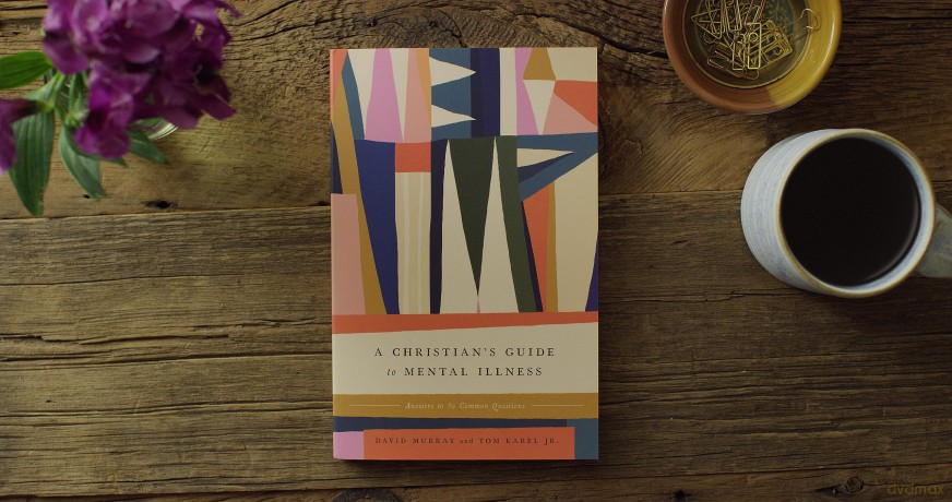 A Christian's Guide to Mental Illness: Answers to 30 Common Questions [KSIĄŻKA]