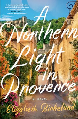 A Northern Light in Provence: A Novel - Elizabeth Birkelund [KSIĄŻKA]