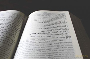 A Reader's Hebrew and Greek Bible: Second Edition [KSIĄŻKA]