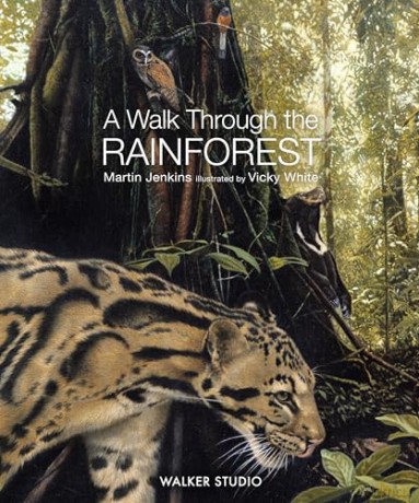 A Walk Through the Rainforest - Martin Jenkins [KSIĄŻKA]