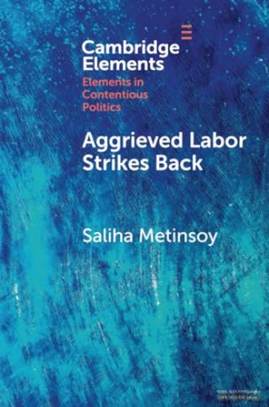Aggrieved Labor Strikes Back: Inter-sectoral Labor Mobility, Conditionality, and Unrest under IMF Programs (Elements in Contentious Politics) - Metinsoy Saliha [KSIĄŻKA]