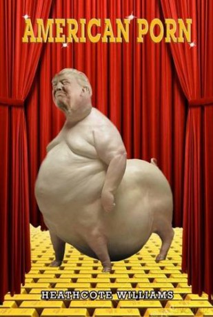 American Porn - Unknown [KSIĄŻKA]