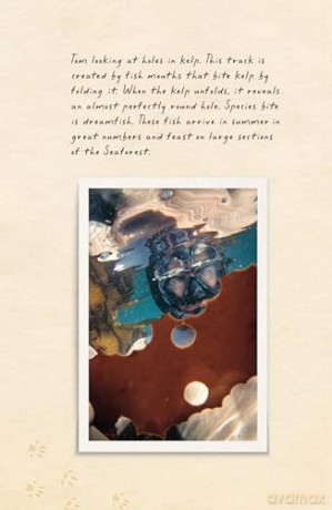Amphibious Soul: Finding the wild in a tame world - Craig Foster [KSIĄŻKA]