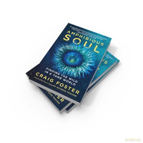 Amphibious Soul: Finding the wild in a tame world - Craig Foster [KSIĄŻKA]