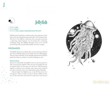 An A-Z of Animal Symbolism: Your complete guide to over 150 animal symbols - Aurore Pramil [KSIĄŻKA]