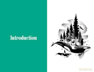 An A-Z of Animal Symbolism: Your complete guide to over 150 animal symbols - Aurore Pramil [KSIĄŻKA]