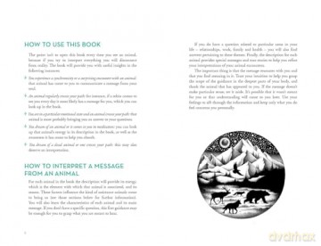 An A-Z of Animal Symbolism: Your complete guide to over 150 animal symbols - Aurore Pramil [KSIĄŻKA]