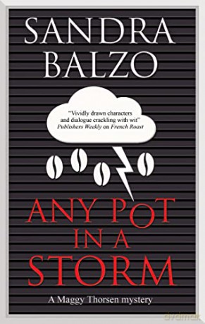 Any Pot in a Storm: 16 (A Maggy Thorsen Mystery) - Sandra Balzo [KSIĄŻKA]