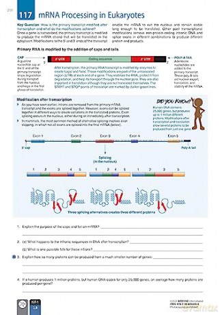 AP Biology - Student Edition (3rd Edition) - Jill Mellanby [KSIĄŻKA]