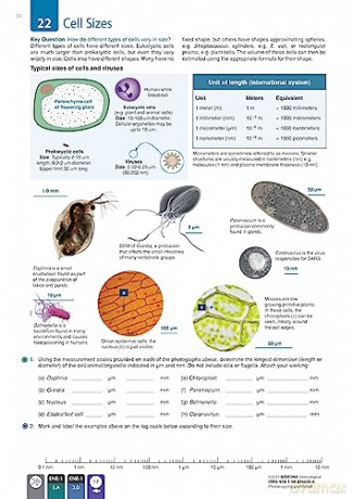 AP Biology - Student Edition (3rd Edition) - Jill Mellanby [KSIĄŻKA]