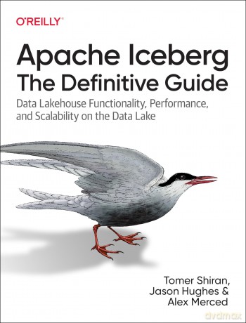 Apache Iceberg: The Definitive Guide: Data Lakehouse Functionality, Performance, and Scalability on the Data Lake - Tomer Et Al Shiran [KSIĄŻKA]