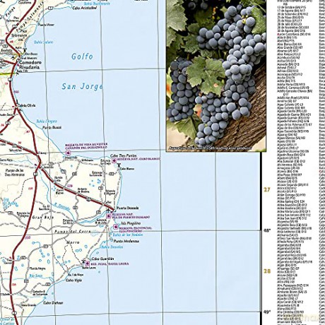Argentina Map: Travel Maps International Adventure Map (National Geographic Adventure Map) [KSIĄŻKA]