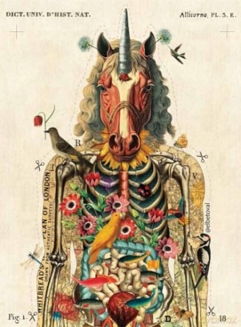 Art of Collage, The - Eva Minguet [KSIĄŻKA]