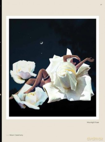 Art of Collage, The - Eva Minguet [KSIĄŻKA]