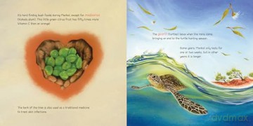 Ask Aunty: Seasons: An Introduction to First Nations Seasons - Munya Andrews [KSIĄŻKA]