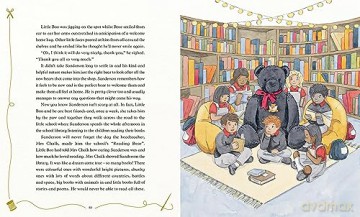 Bartie Bristle and Other Stories: Tales from the Teddy Bear Ladies - Amanda Middleditch [KSIĄŻKA]