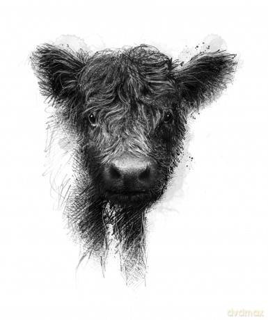 Being With Cows - Dave Mountjoy [KSIĄŻKA]