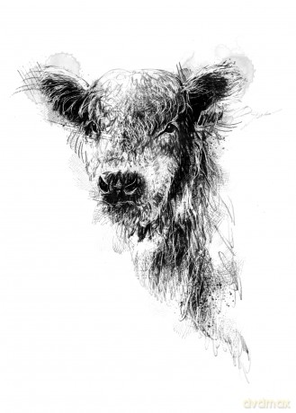 Being With Cows - Dave Mountjoy [KSIĄŻKA]