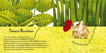 Big Book of Giant Animals, The Small Book of Tiny Animals: The Little Book of Tiny Animals (Big Book/Small Book) - Francesca Cosanti [KSIĄŻKA]