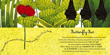 Big Book of Giant Animals, The Small Book of Tiny Animals: The Little Book of Tiny Animals (Big Book/Small Book) - Francesca Cosanti [KSIĄŻKA]